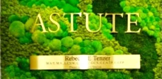 Astute Counseling & Wellness Services
