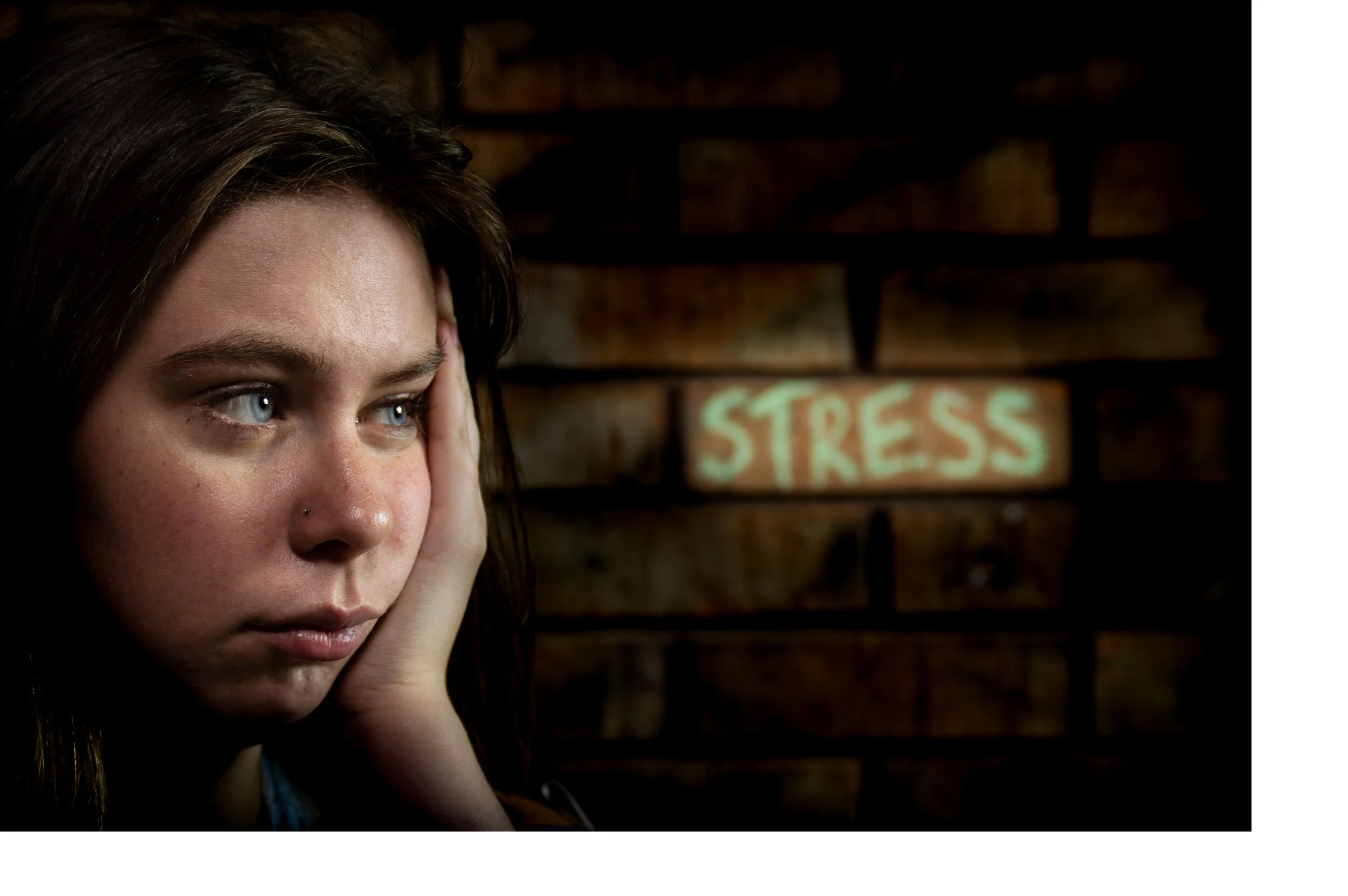 shutterstock_1446031622 (1).jpg