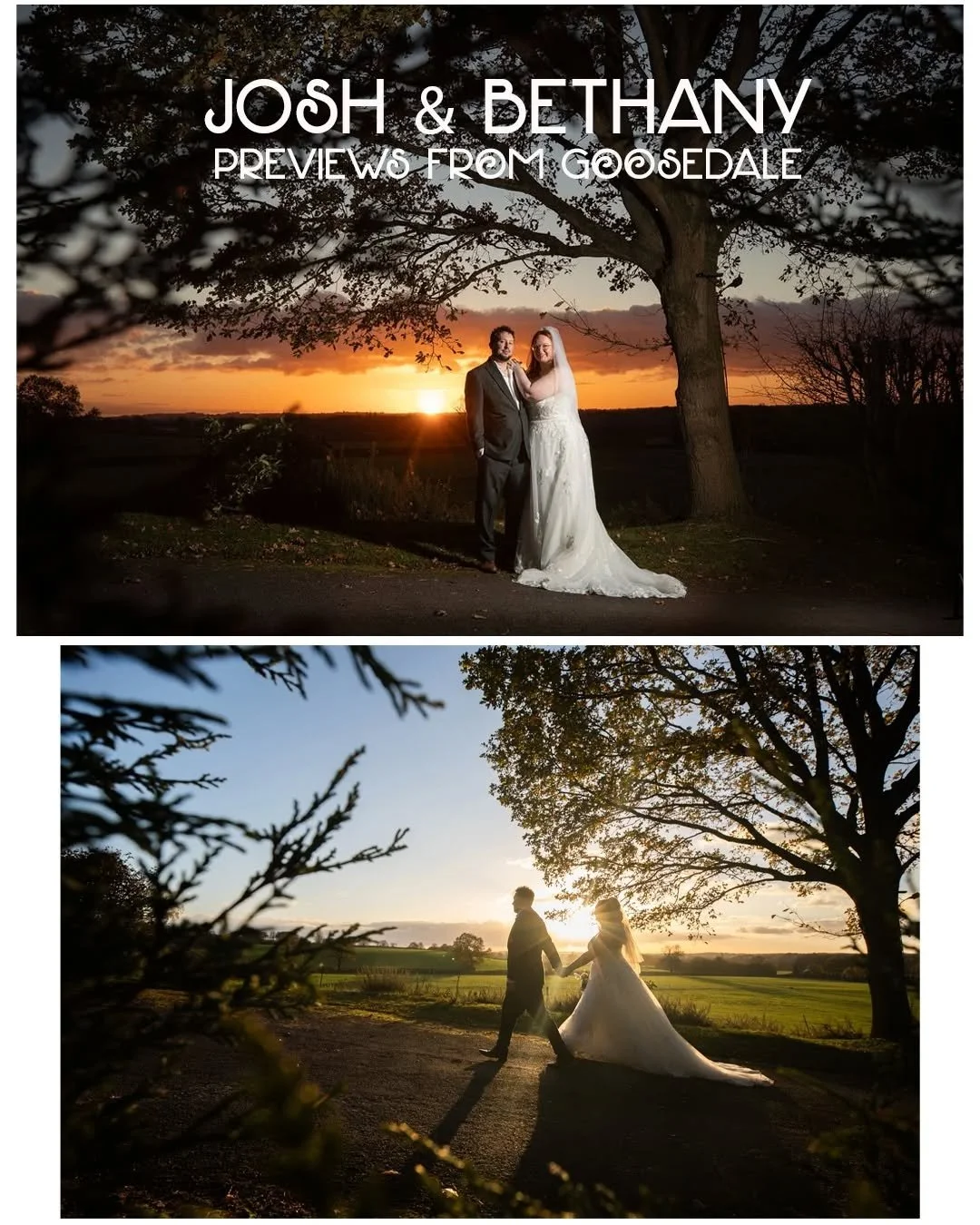 It's previews time for lovely newlyweds, Josh &amp; Bethany! 

This last Tuesday was an absolutely incredible day; I can't tell you just how much fun this day was! I even had the treat of meeting a new doggy in the morning during prep with Bethany at