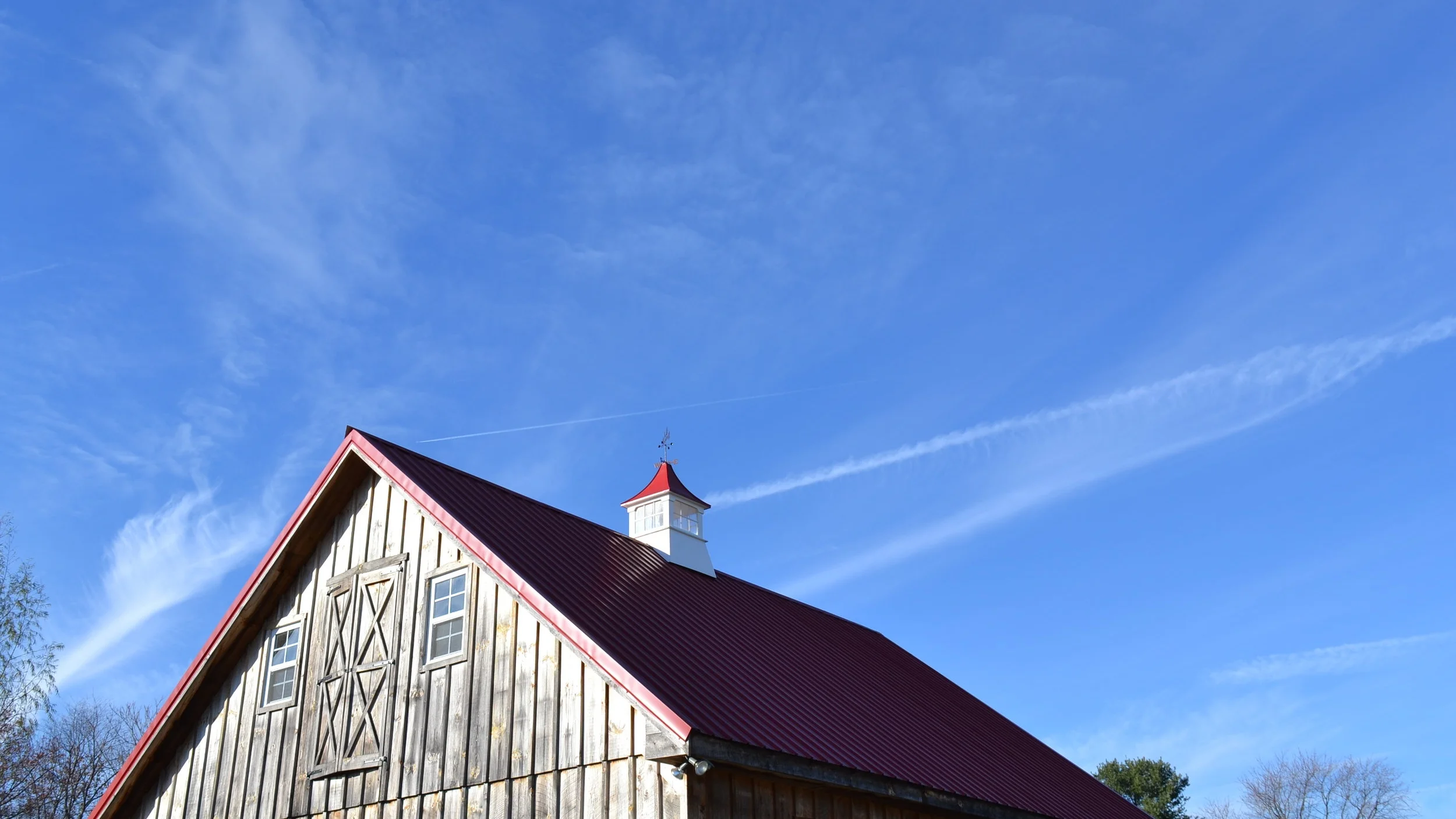 DSC_0489.JPG