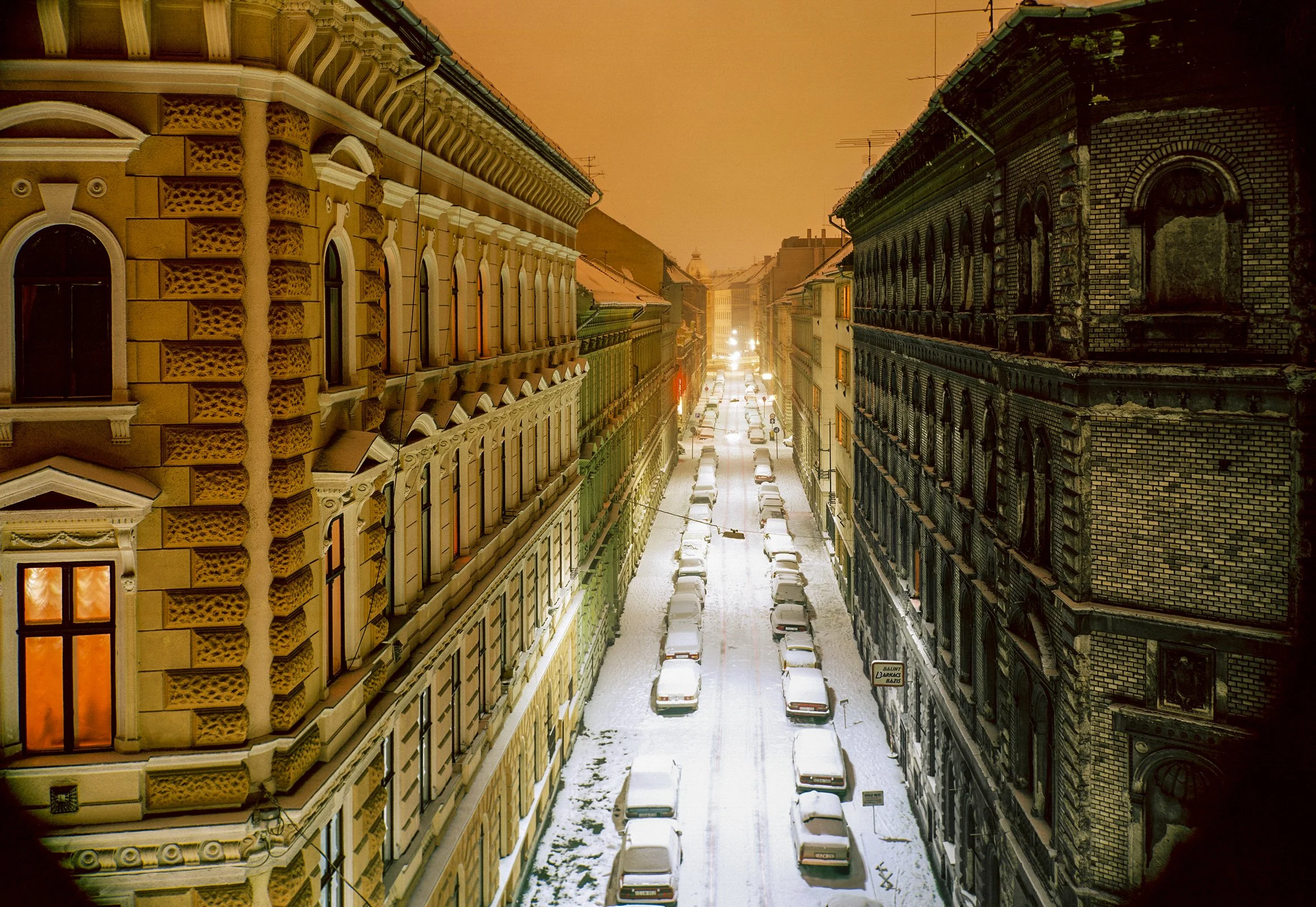 room with a view..jpg