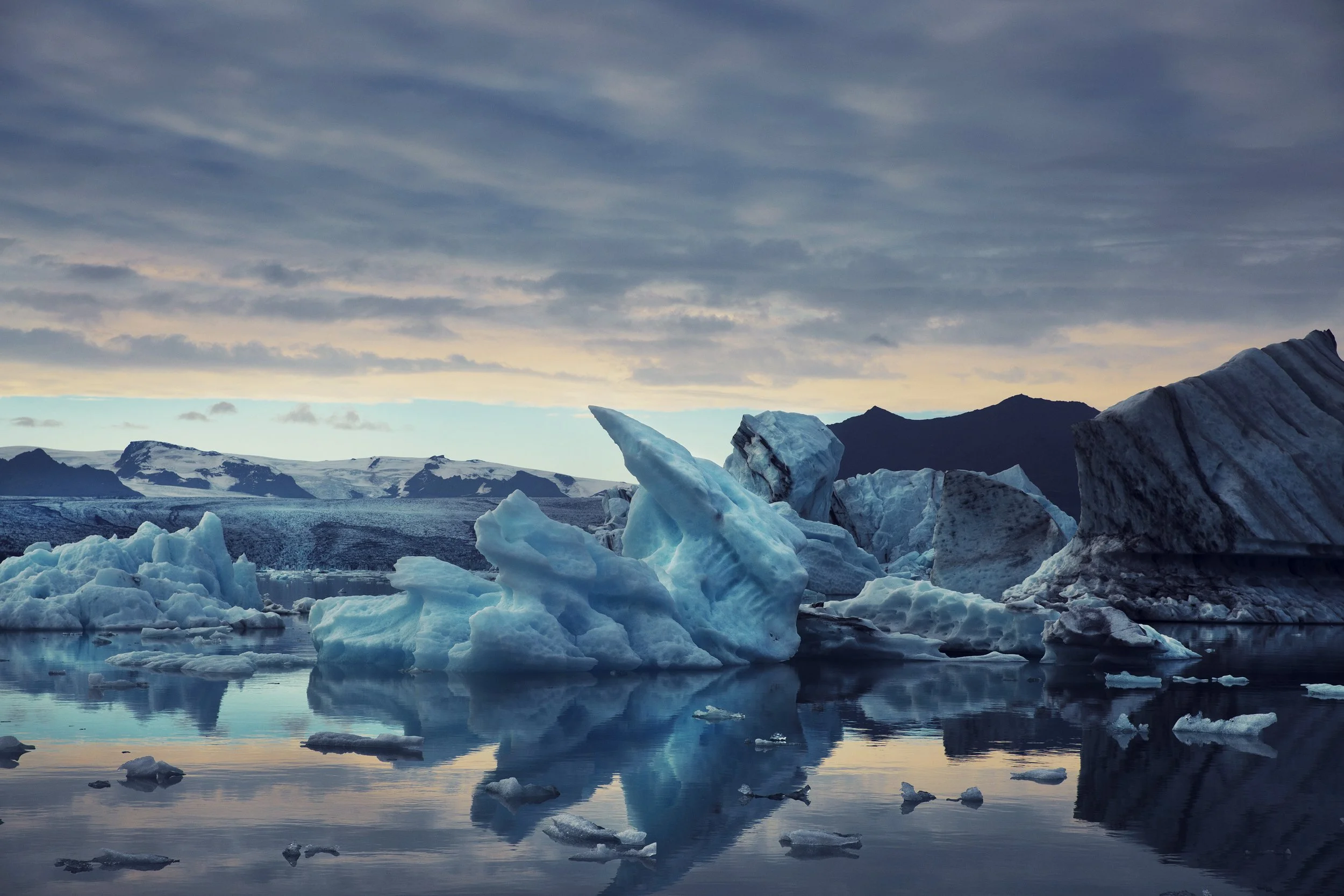 iceland  ice rabbit johann sebastian haenel_island .jpg