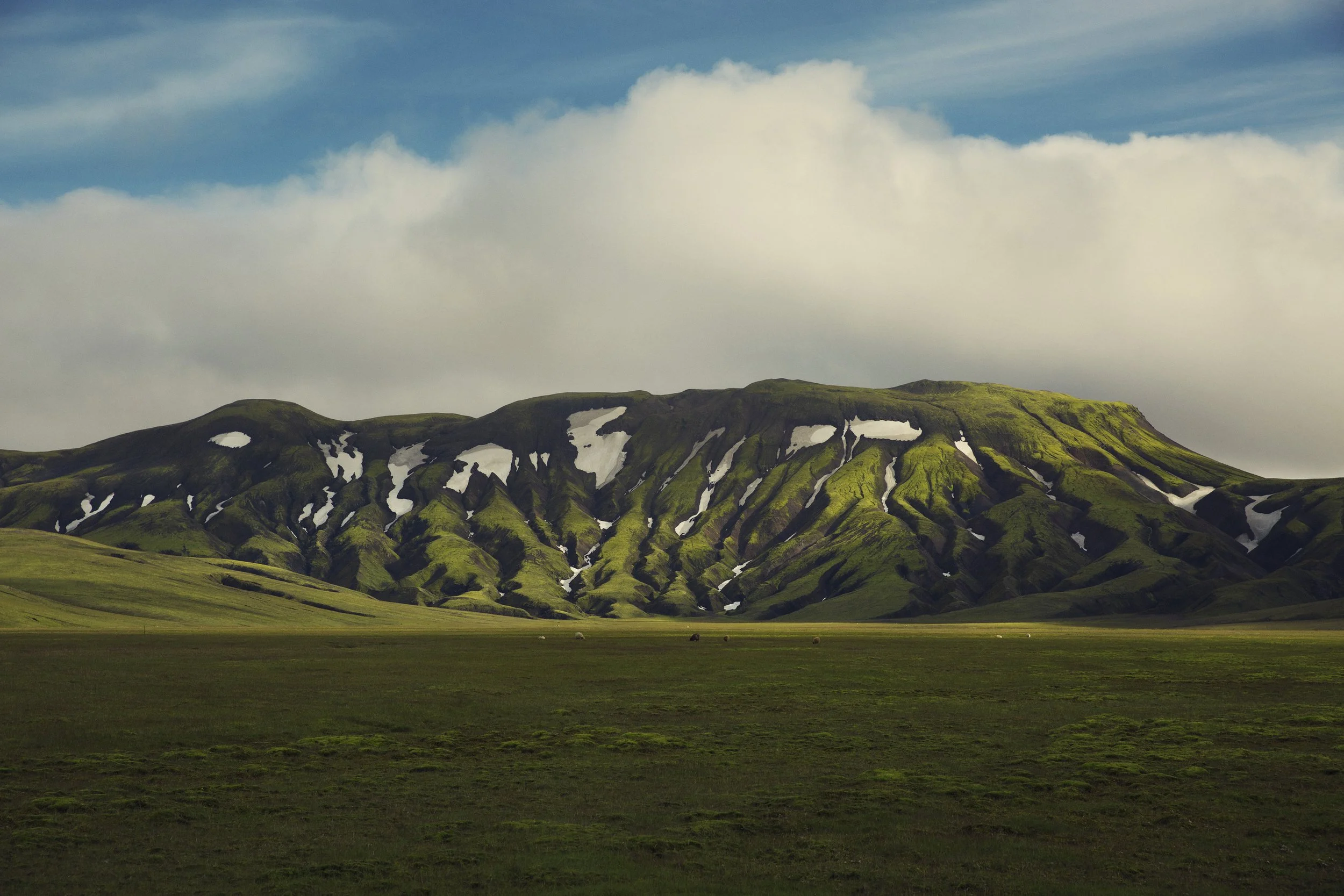 iceland  sleeping dragon fuchur   johann sebastian haenel_island..jpg