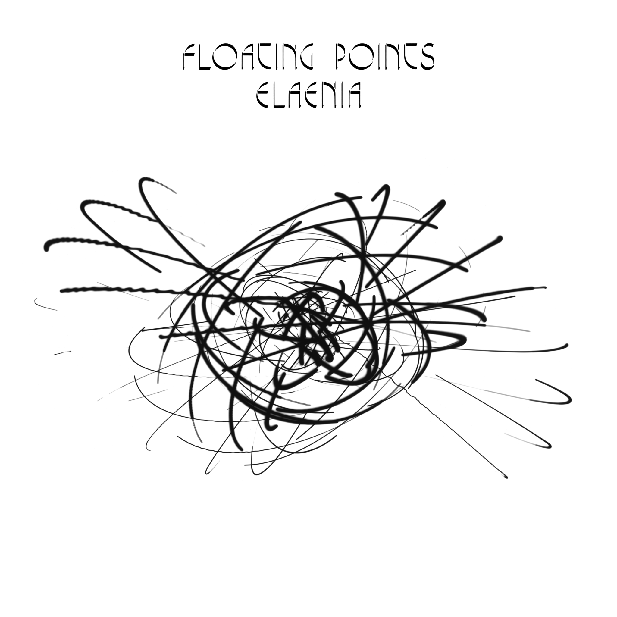 Floating-Elaenia.jpg