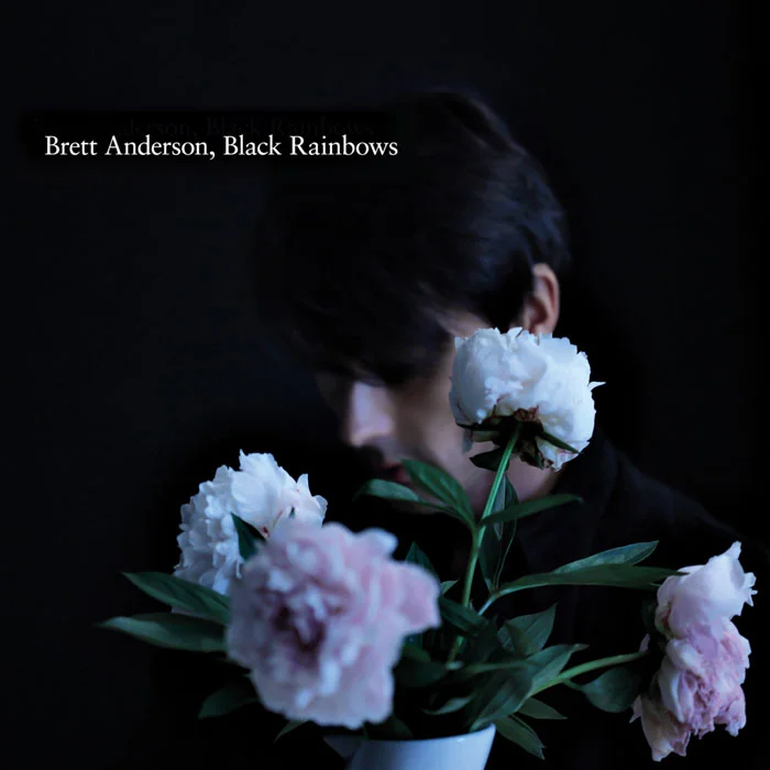 brett anderson 1.png
