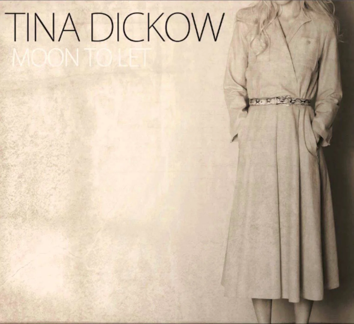 Tina Dico .jpg