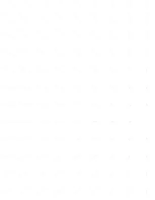 White.jpeg