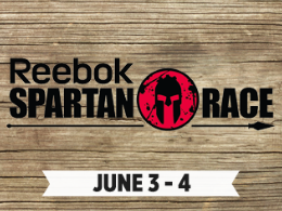 Reebok Spartan Race