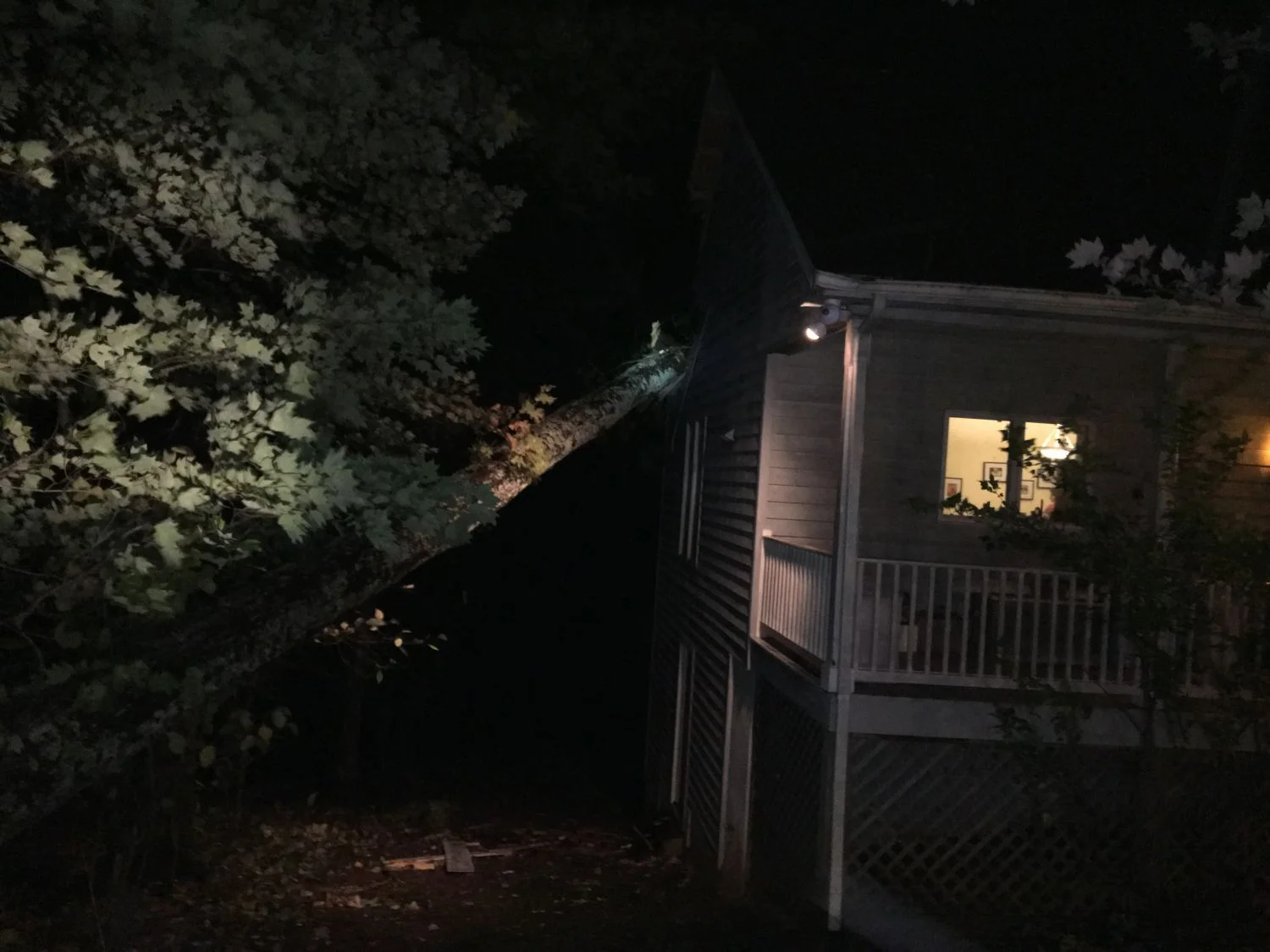 Tree into a Structure - Stoney Creek