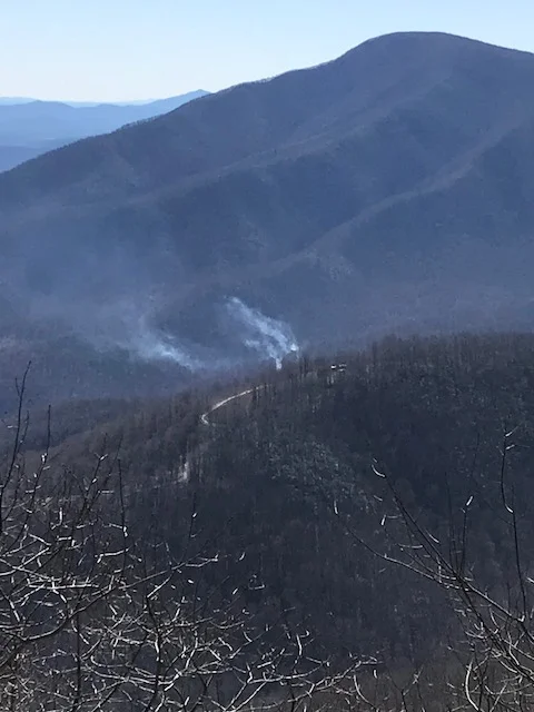 Woods Fire - Beech Grove Road