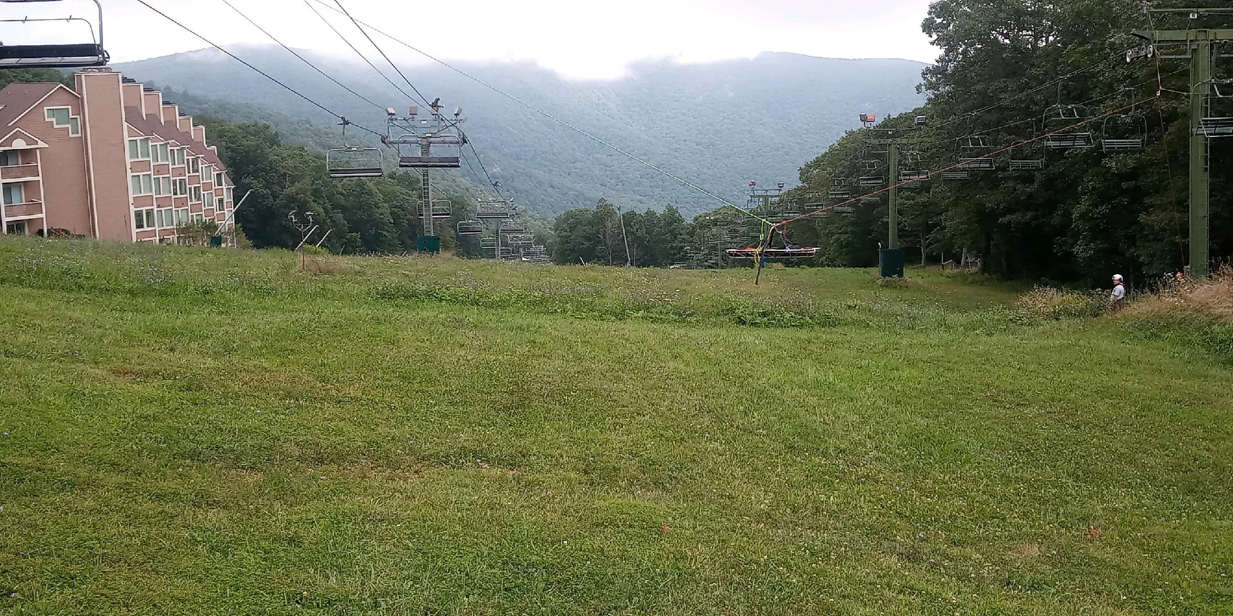 123_1(1).JPEG