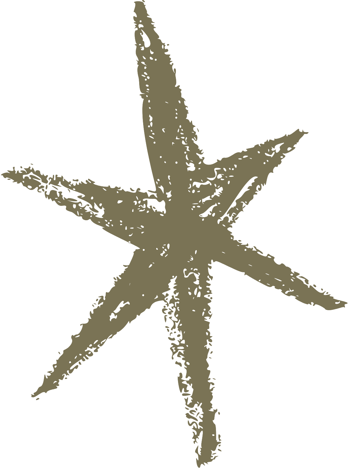 A distressed starfish with five arms, colored in a muted grayish-green, on a black background.