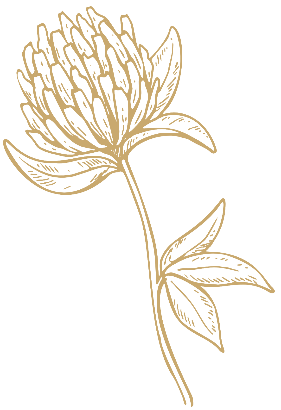 A gold outline of a flower with leaves on a black background.