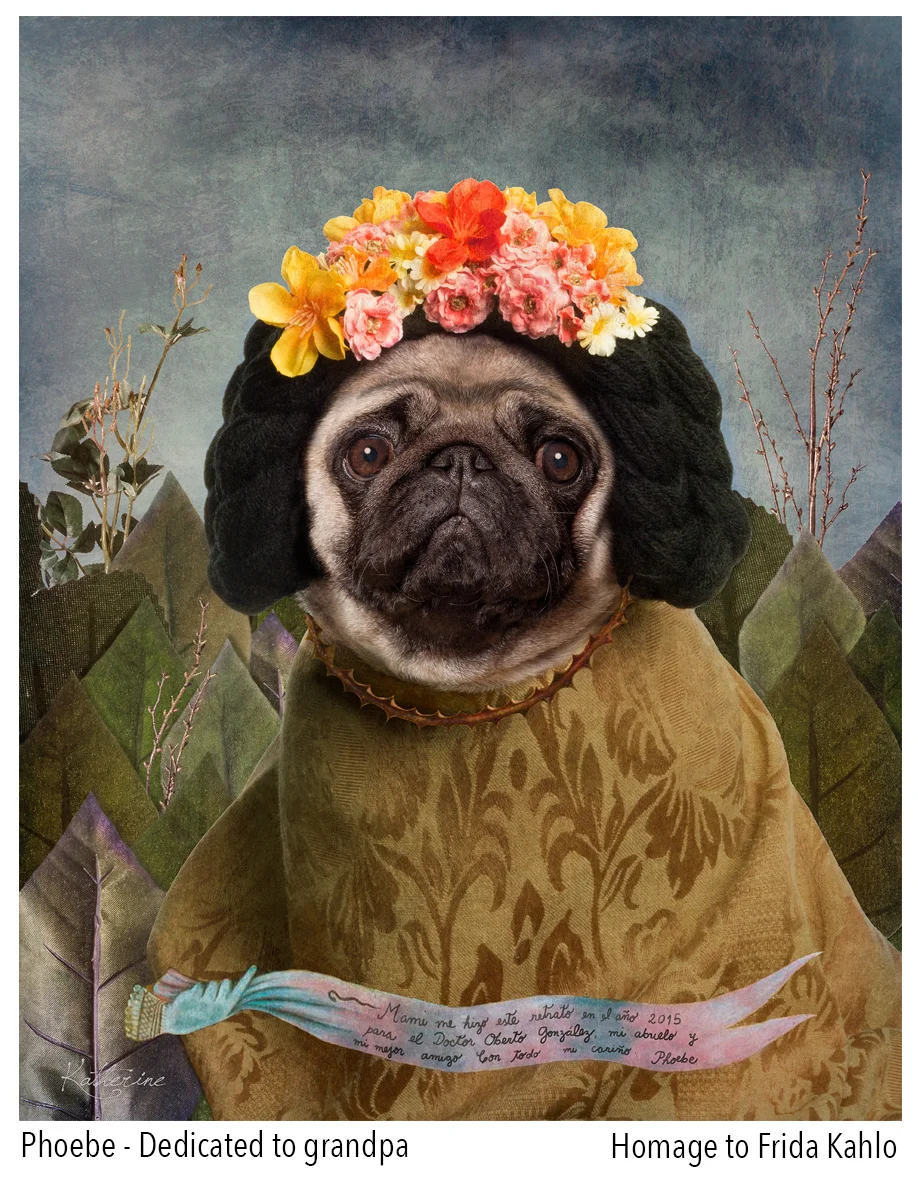 Vancouver_pet_photography_frida_kahlo.jpg