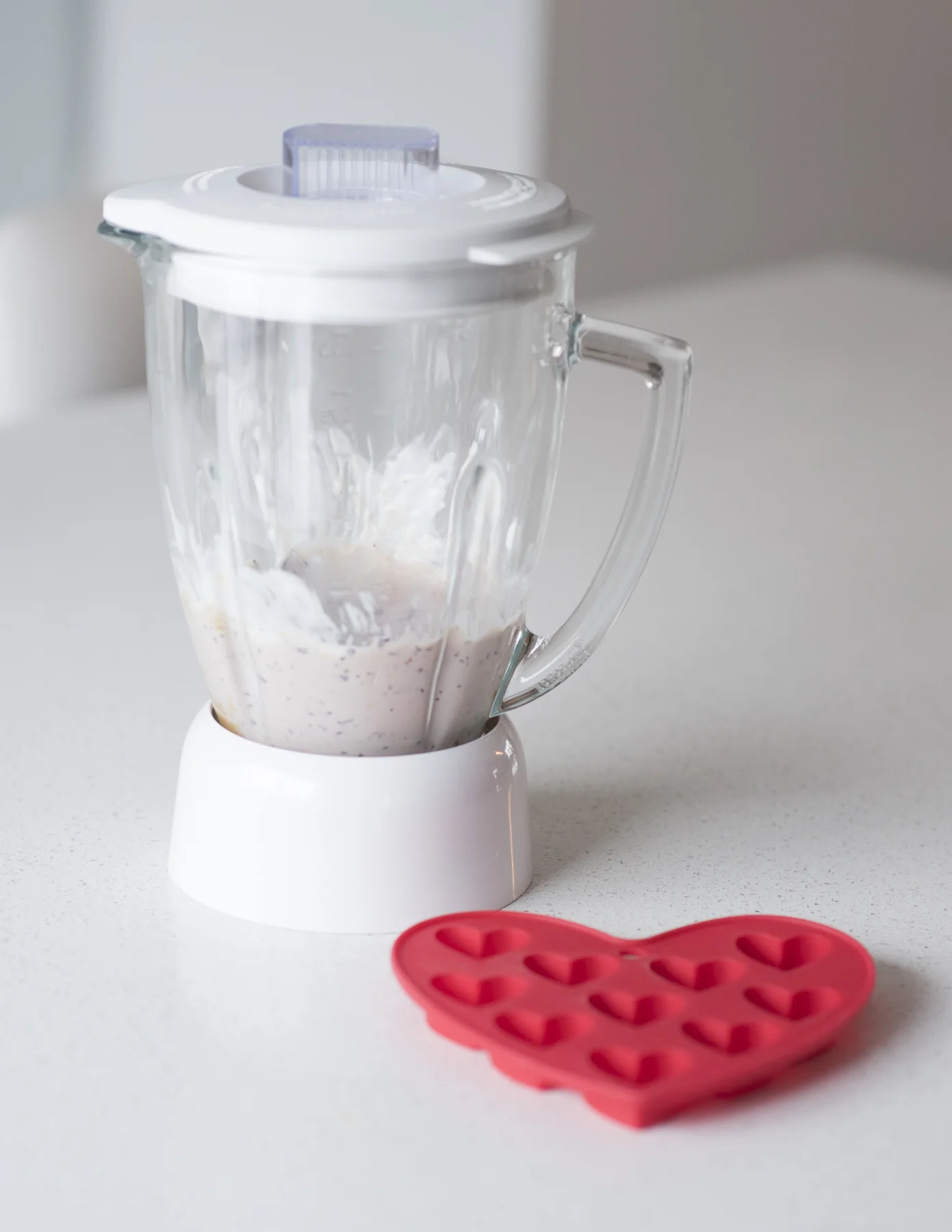 yogourt treats for dogs blender-1.jpg