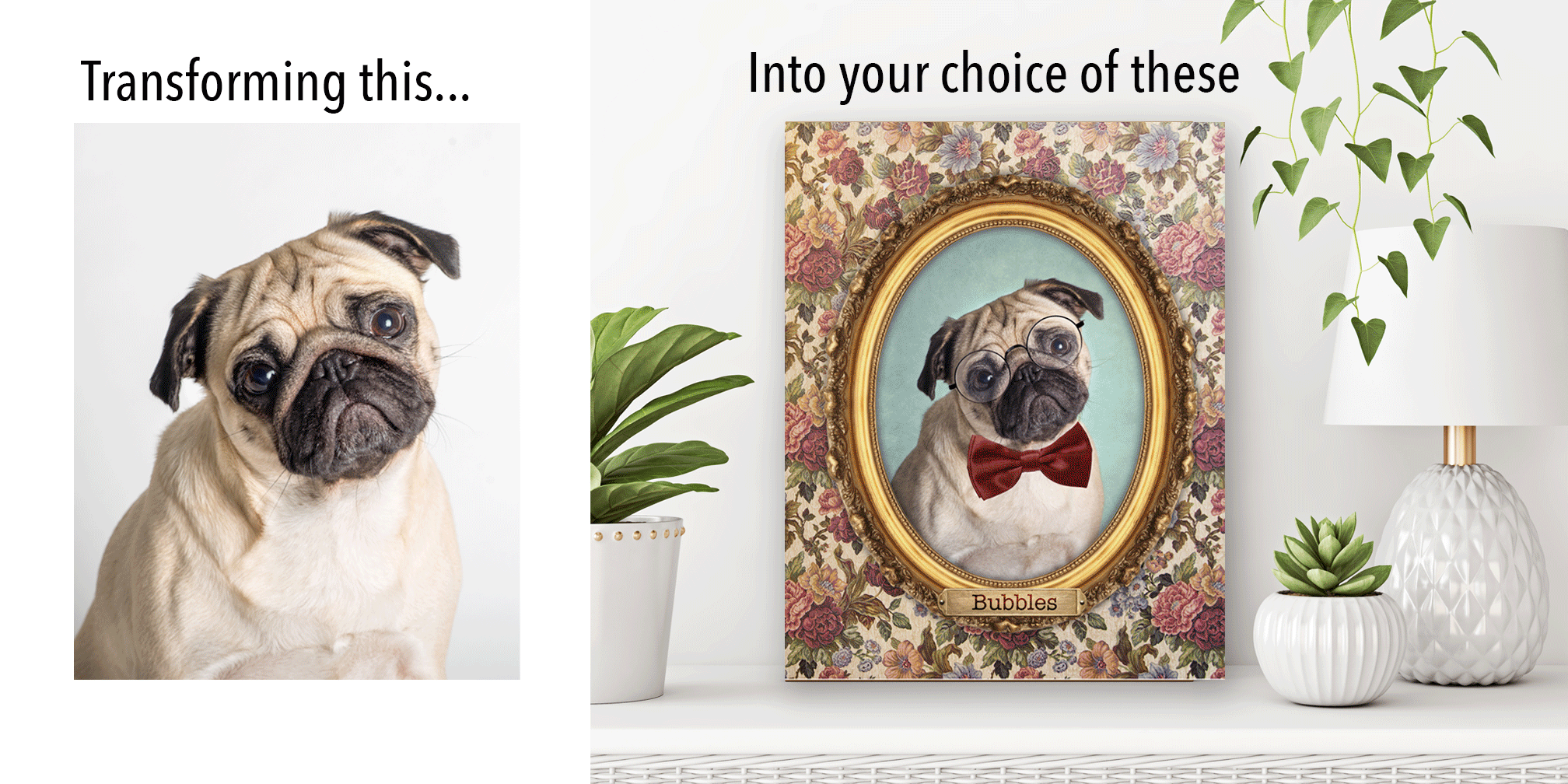 GiF-Vintage-Pawtraits.gif