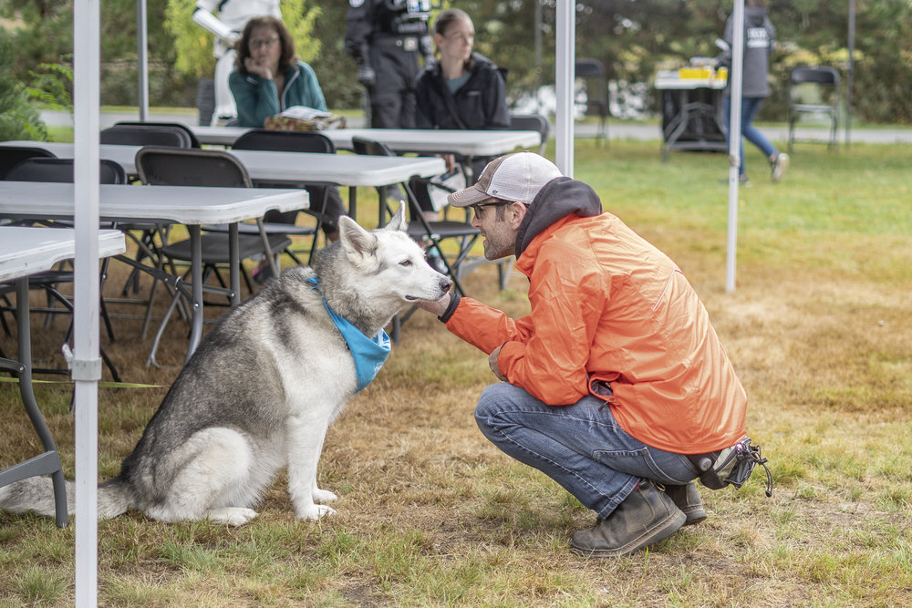 2019_Paws_for_a_Cause_Coquitlam_-6.jpg