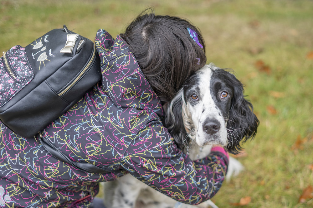 2019_Paws_for_a_Cause_Coquitlam_-7.jpg