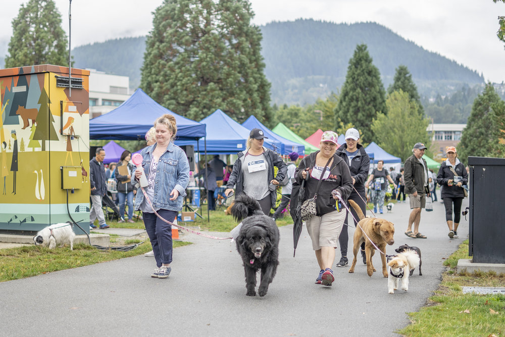2019_Paws_for_a_Cause_Coquitlam_-11.jpg