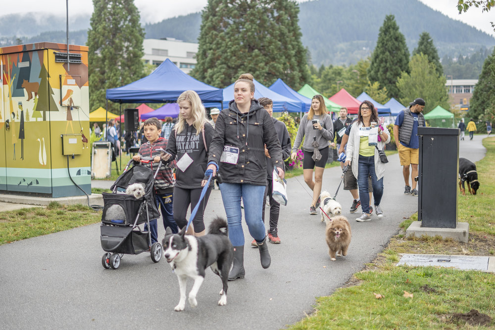 2019_Paws_for_a_Cause_Coquitlam_-12.jpg