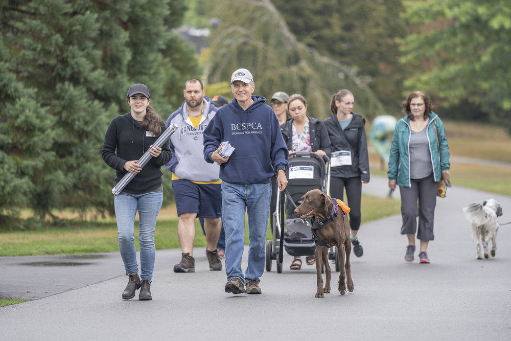 2019_Paws_for_a_Cause_Coquitlam_-14.jpg