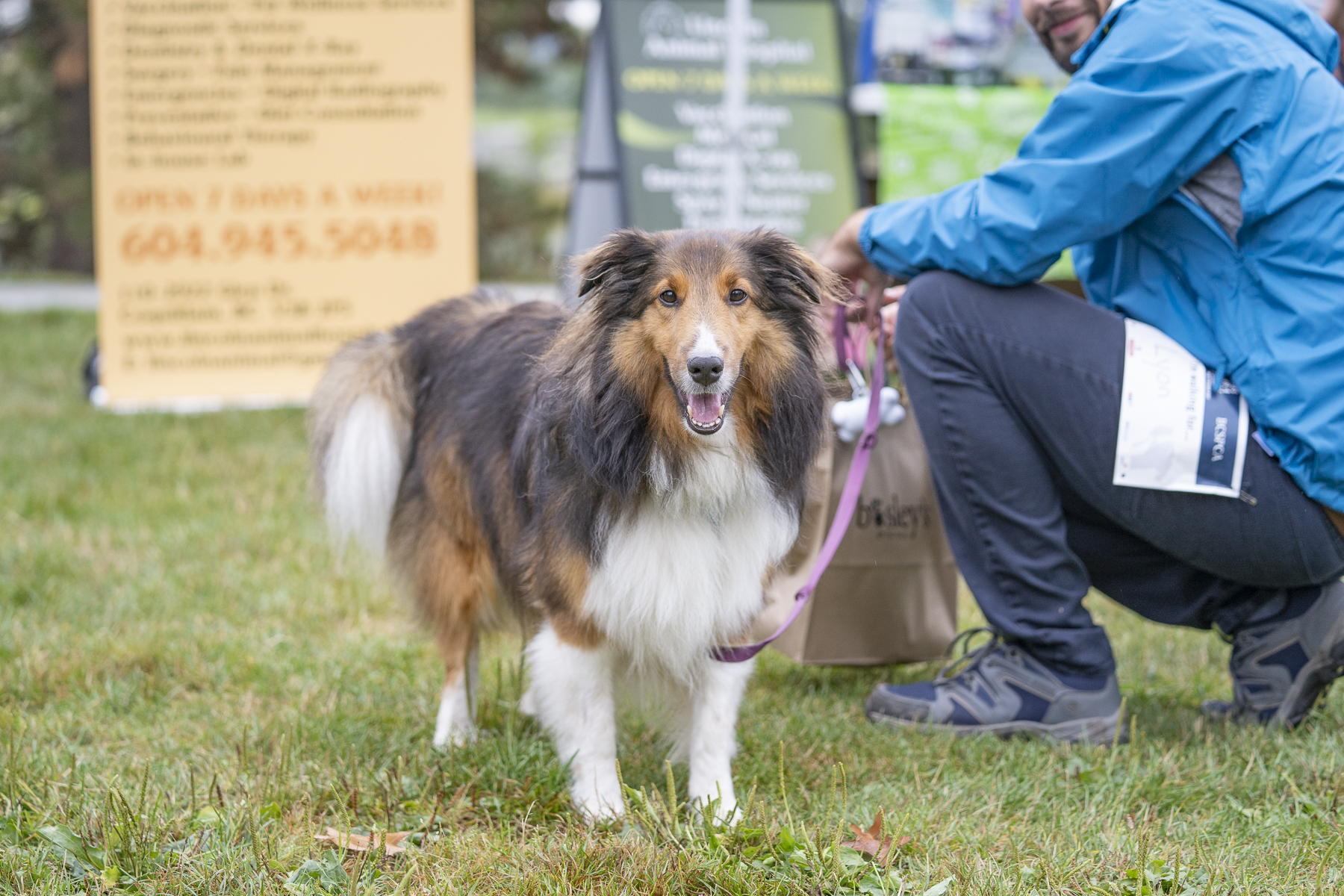 2019_Paws_for_a_Cause_Coquitlam_-21.jpg