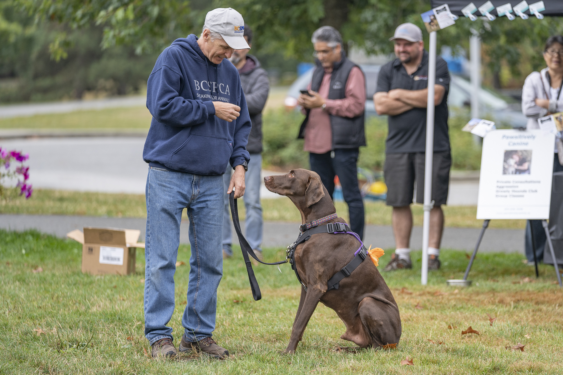 2019_Paws_for_a_Cause_Coquitlam_-28.jpg