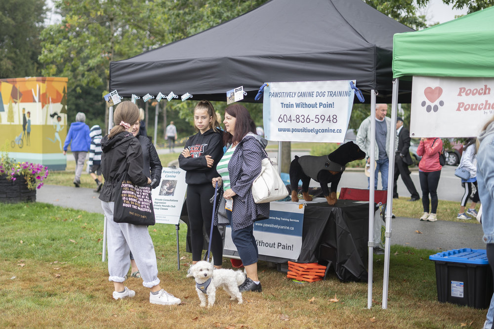 2019_Paws_for_a_Cause_Coquitlam-3.jpg