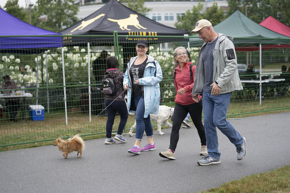 2019_Paws_for_a_Cause_Coquitlam-4.jpg