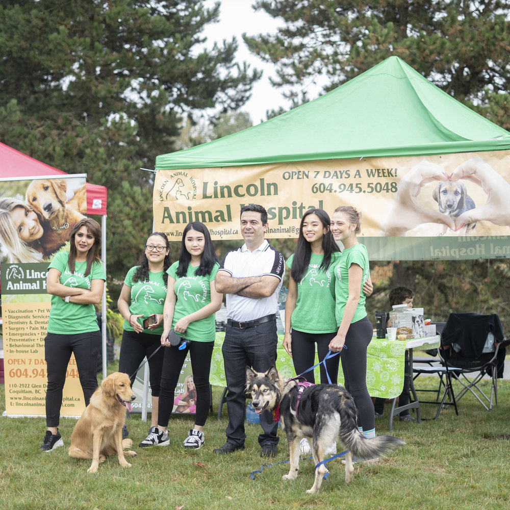 2019_Paws_for_a_Cause_Coquitlam-16.jpg