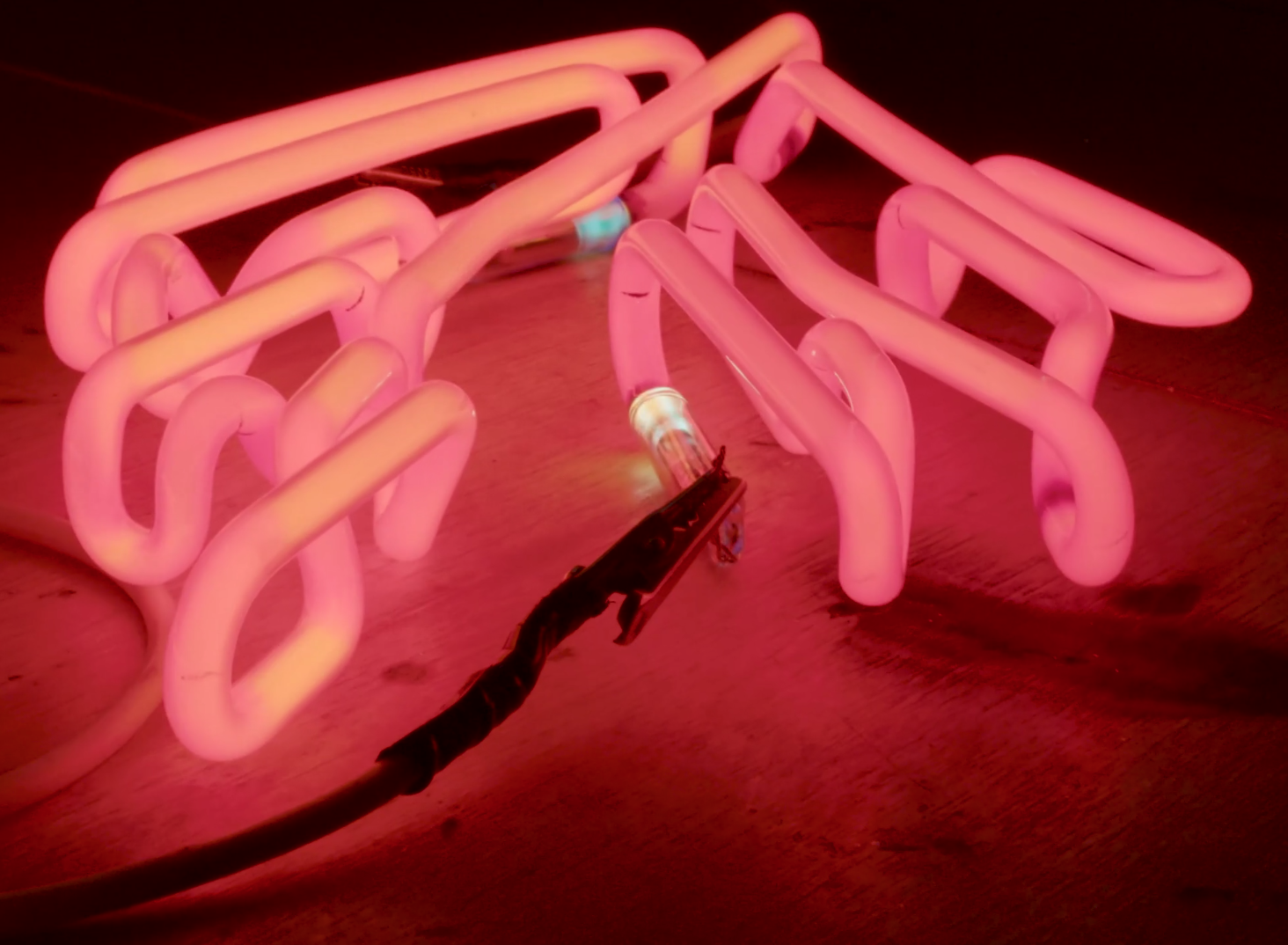 Neon Artist Esther Ruiz