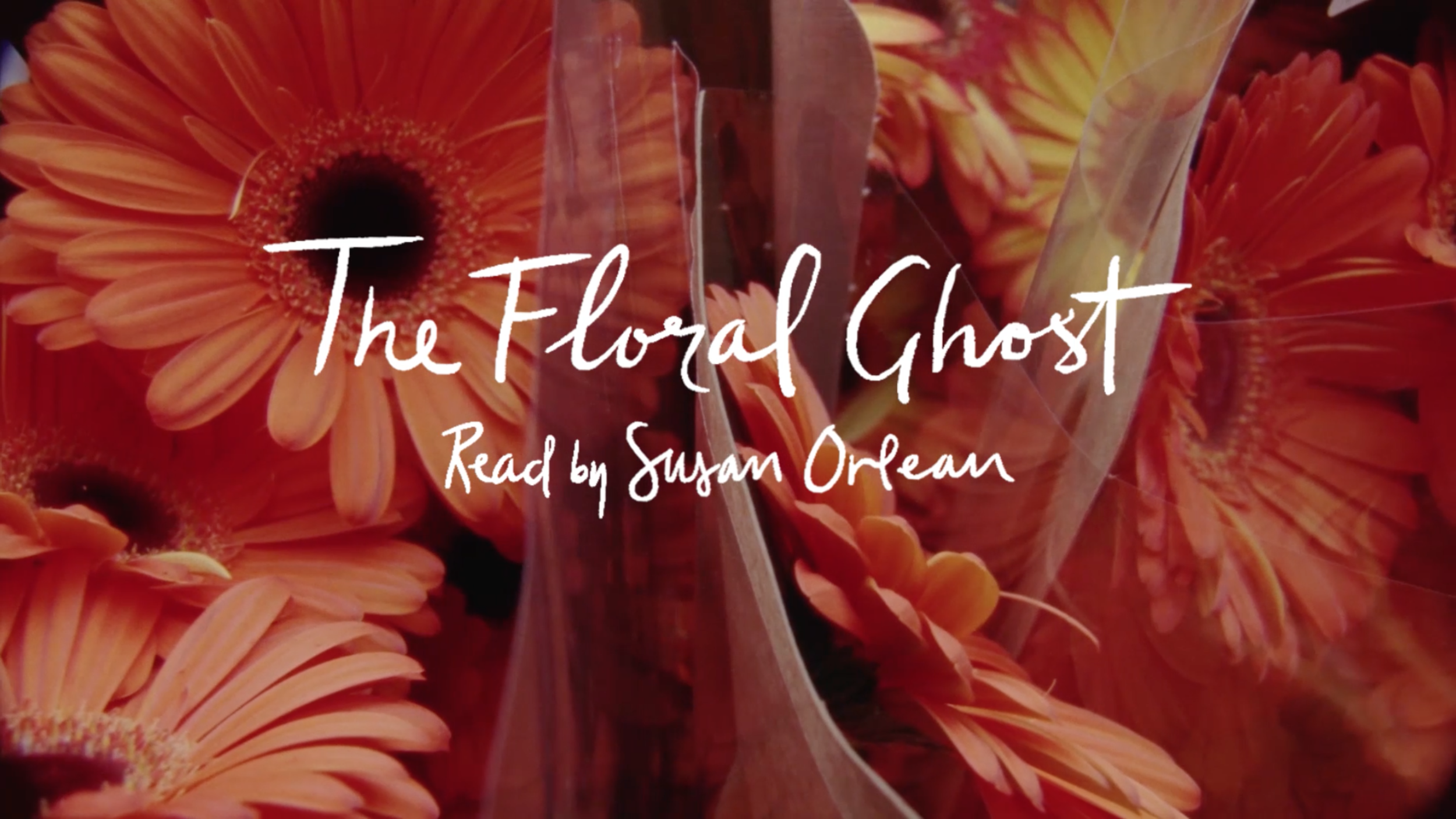 FloralGhost_Article