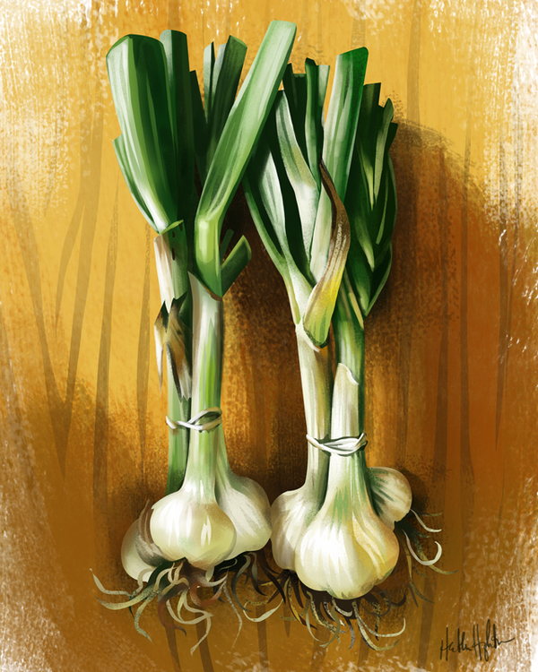 garlic_by_heatherihn-d7mij5c.png