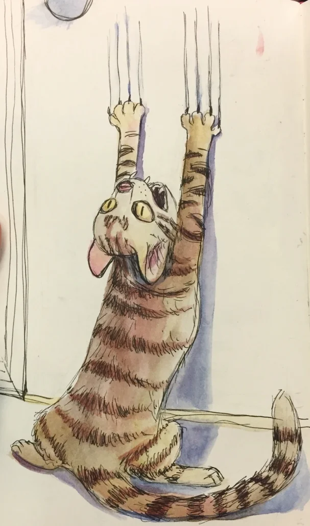 Cat Anxiety