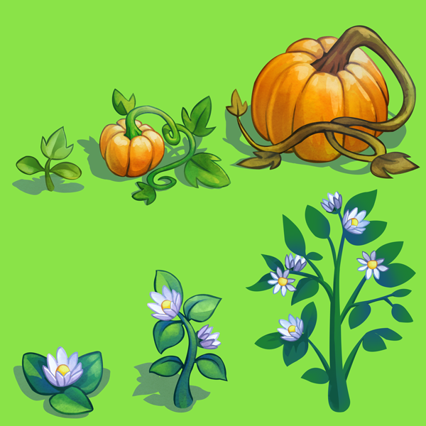 Pumpkin and Potato Crop