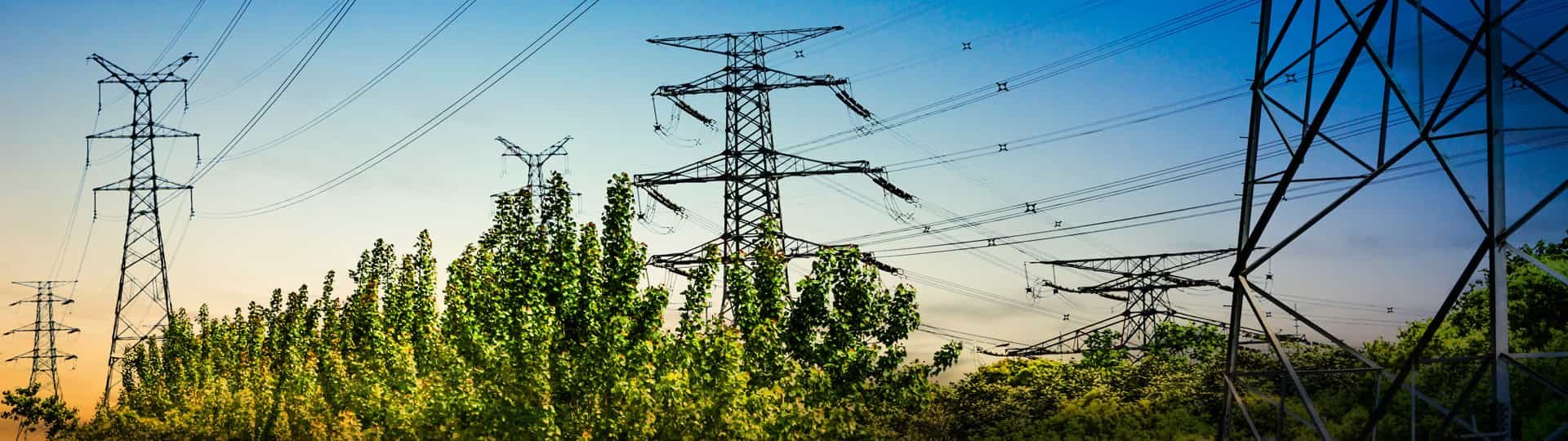 The Demand Flexibility Service, Explained