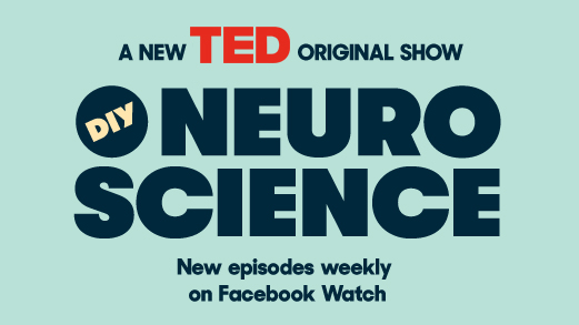 TED -  DIY Neuroscience