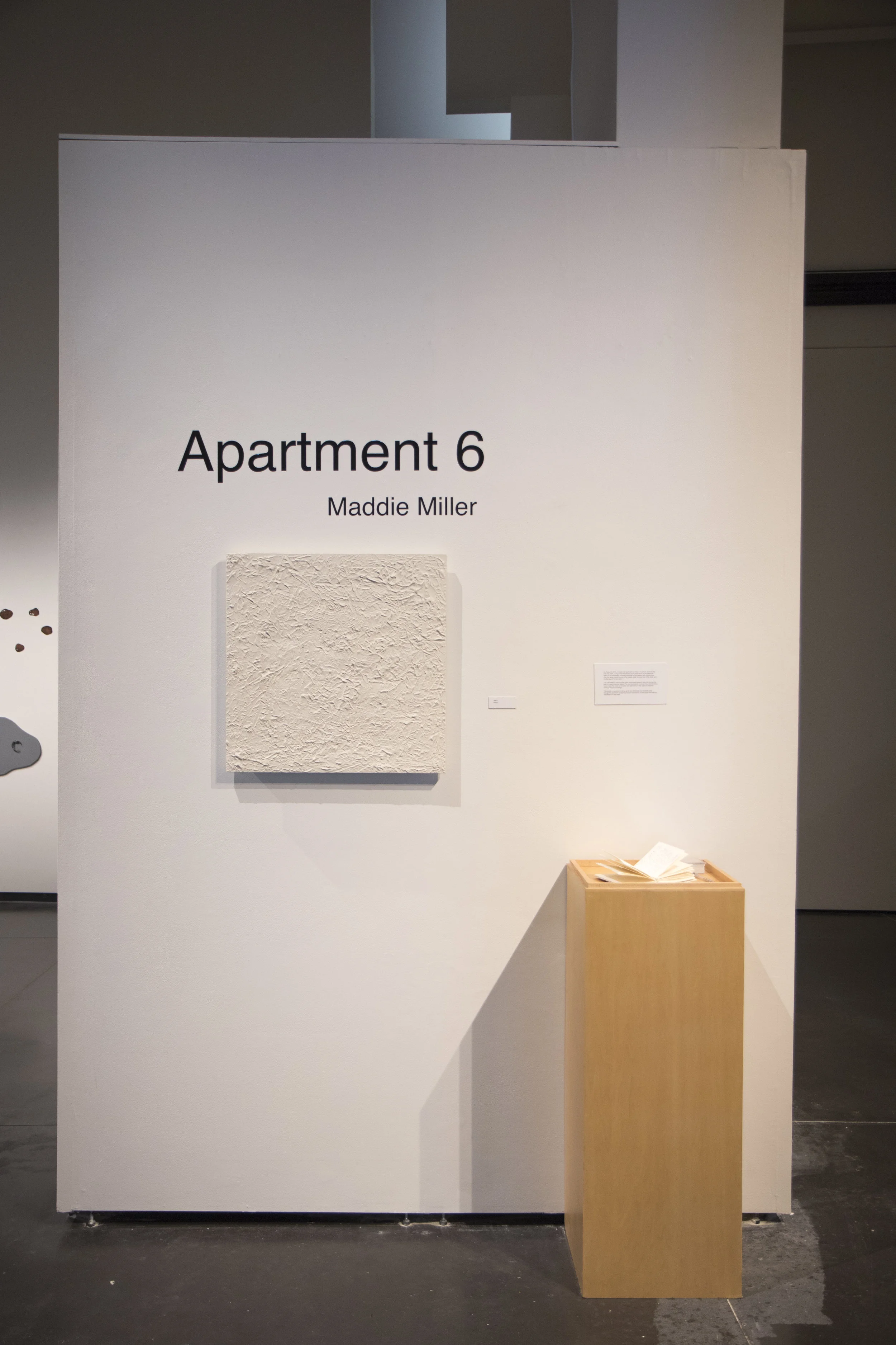 Apartment 6, Installation View, 2016