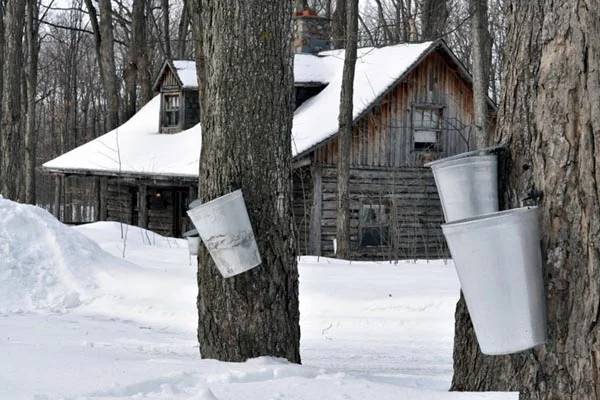 Sucreri-de-la-Montagne-1.jpg