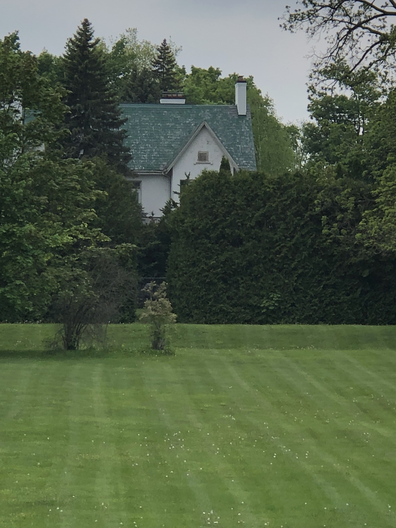 Mulock Farm Property Activity and Security May 6th 2019