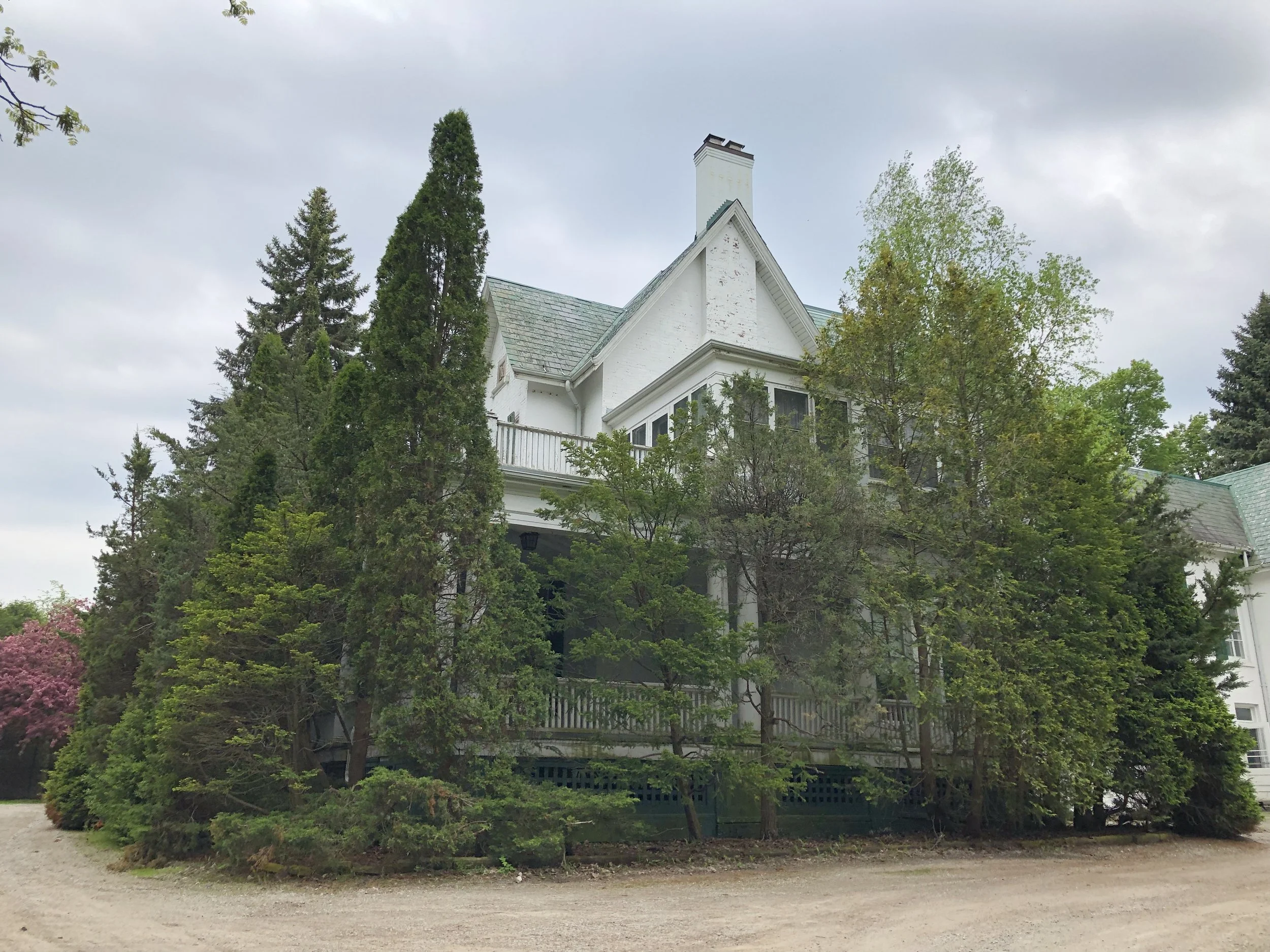Mulock Property removal of Trees and Shrubs