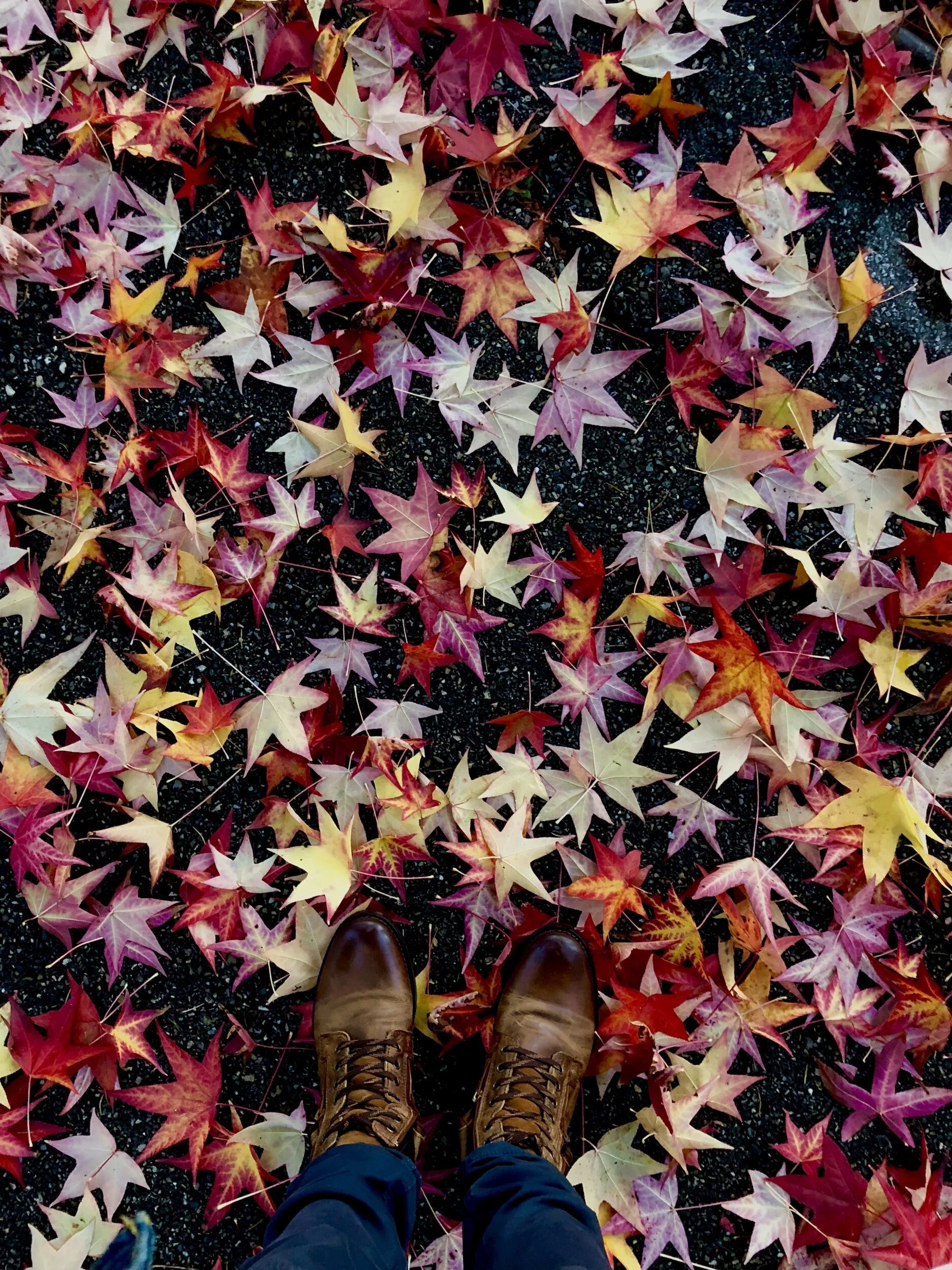 Councillor Kelly Broome Top Three Things