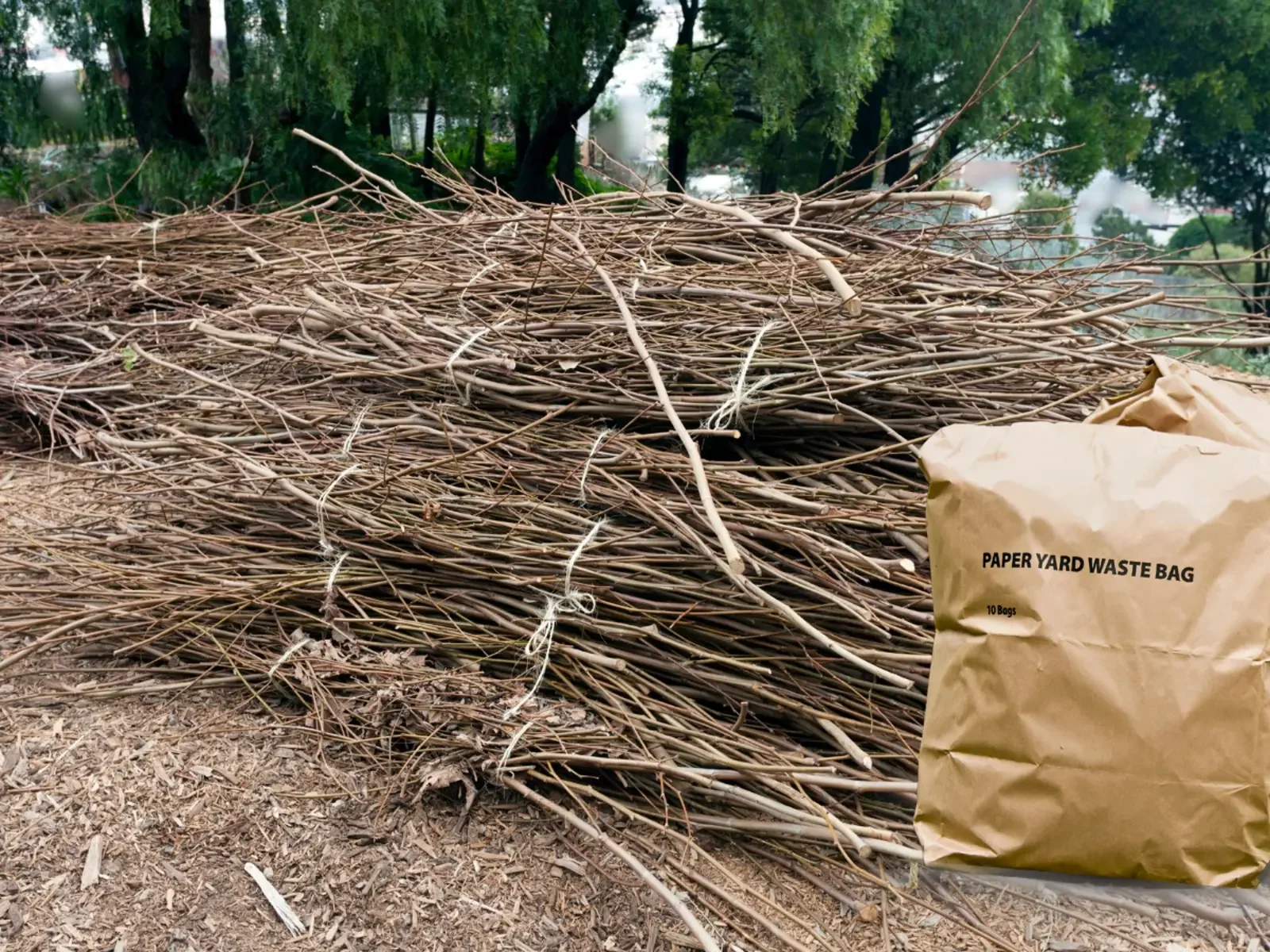 Storm Cleanup Update: Thank You Ward 6