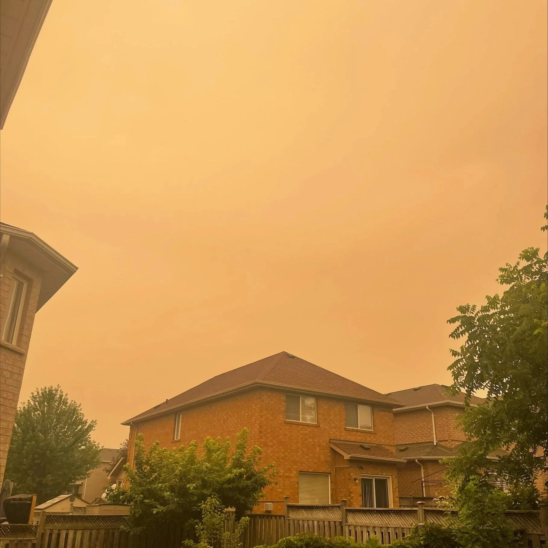 Why the Sky Turned Orange Today and How to Protect Your Family, Pets and Yourself