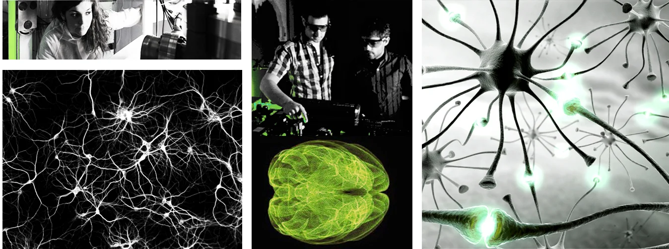 PFT - Plateforme de neuroimagerie translationnelle multi-modalités