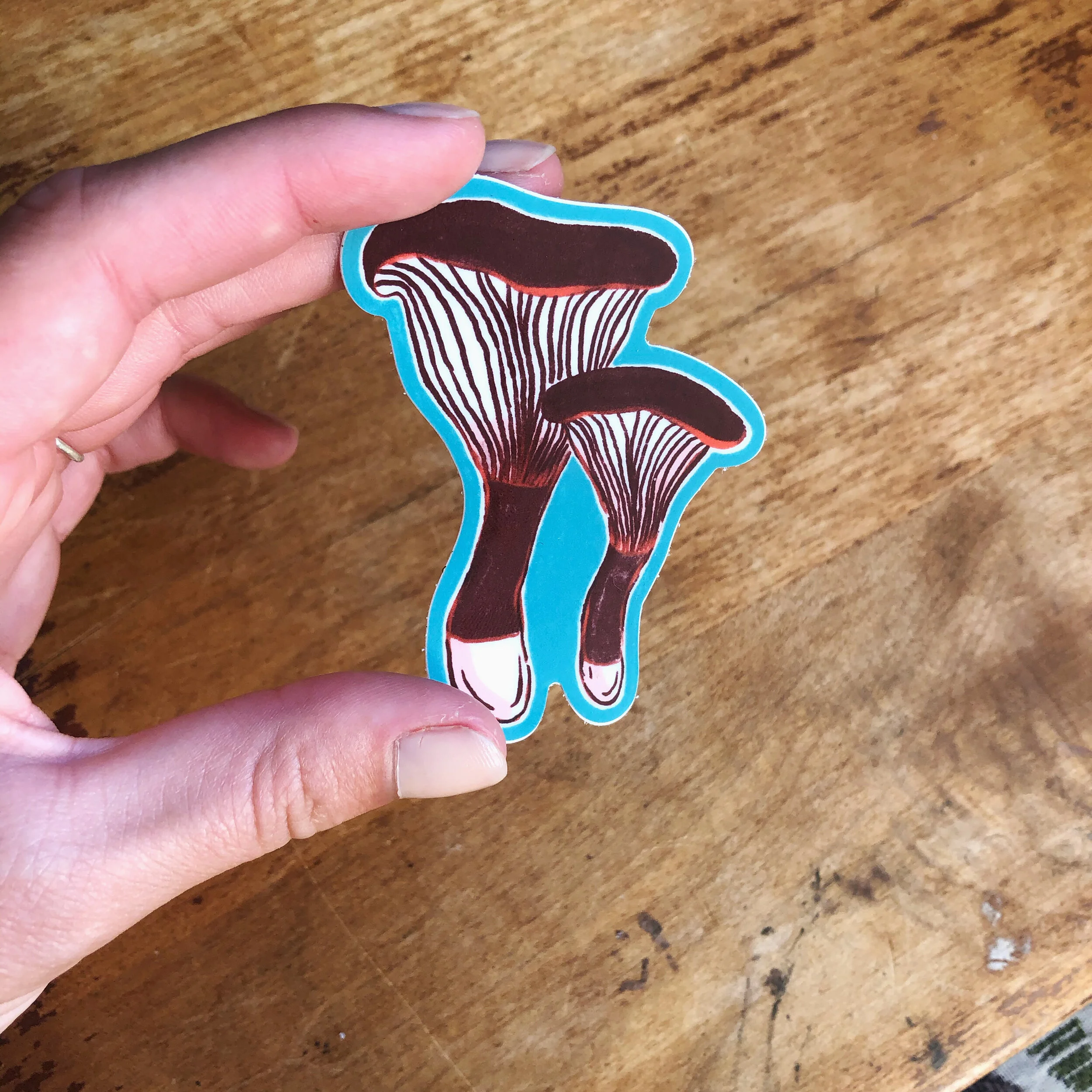 295C55B8-75FE-4C1C-AB68-E98CFDB0ECD1 2.JPG