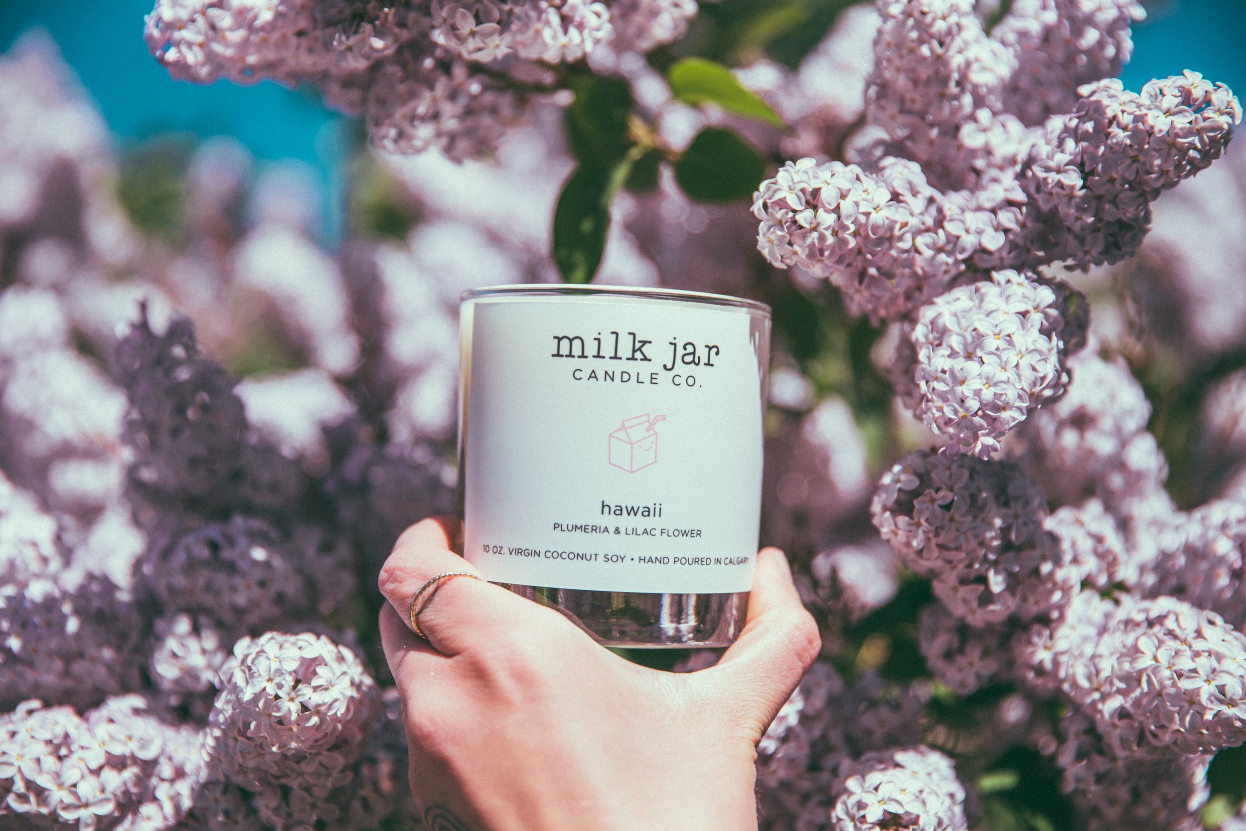 10oz Pure Soy Candle Non Toxic Hand Poured Spring Lilac Candle Spring Floral Home Decor Phthalate Free Gift for Her