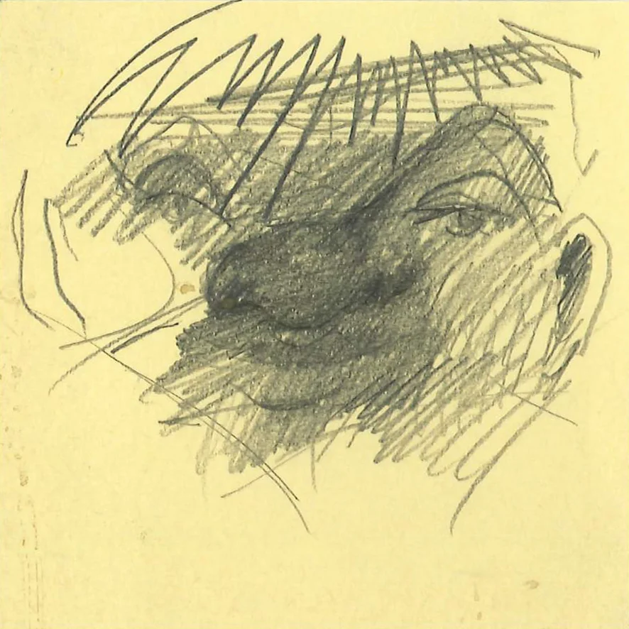 faces0_77_cropped-004.jpg