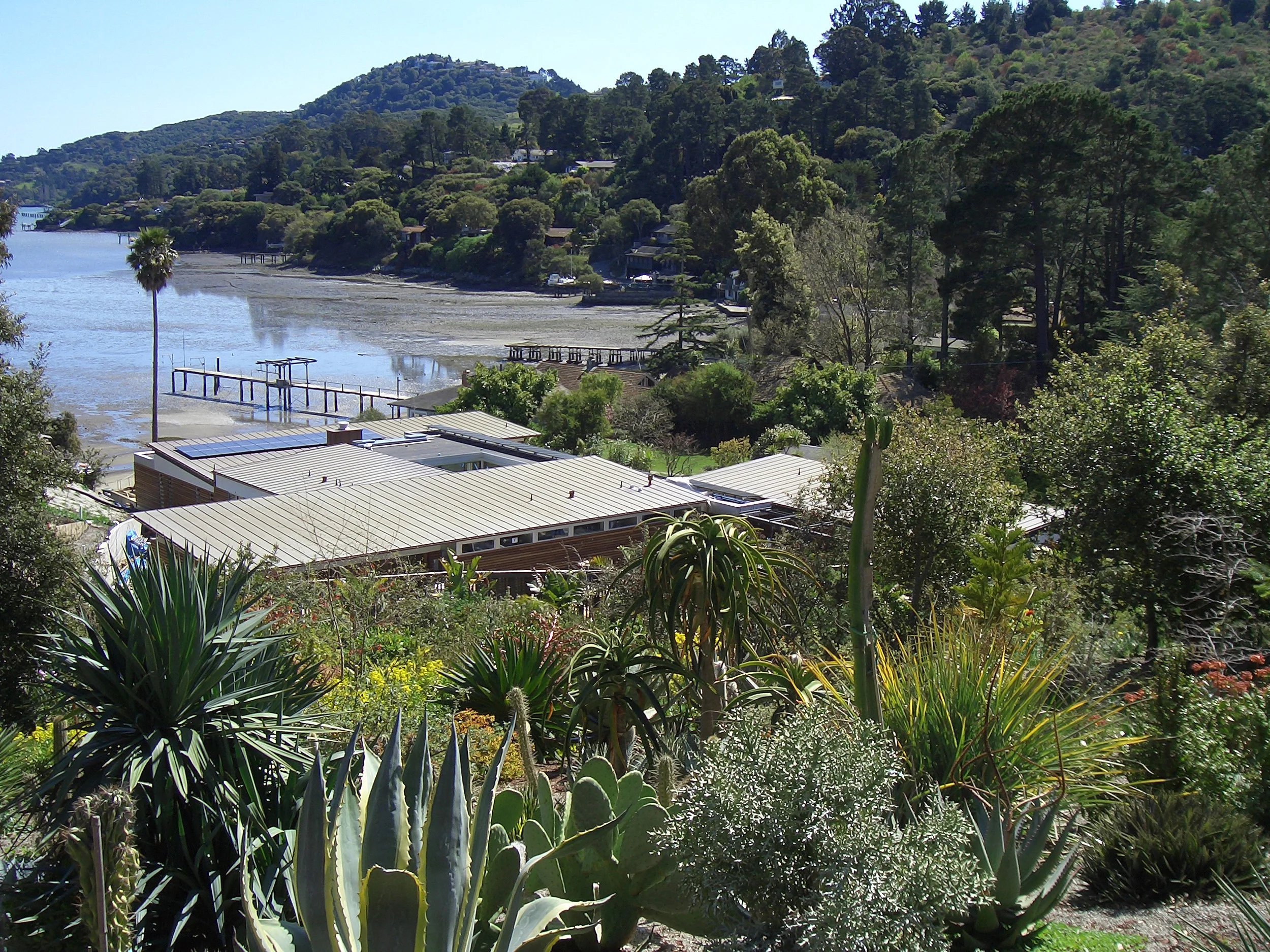 ARCH_Tiburon_6.jpg