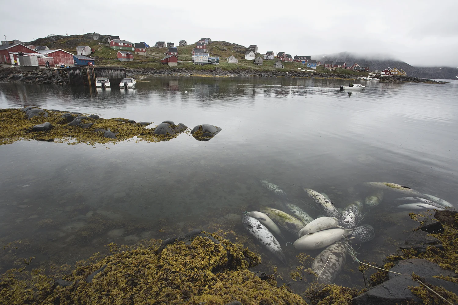 AlinaFedorenko_Kulusuk_Greenland_20.jpg
